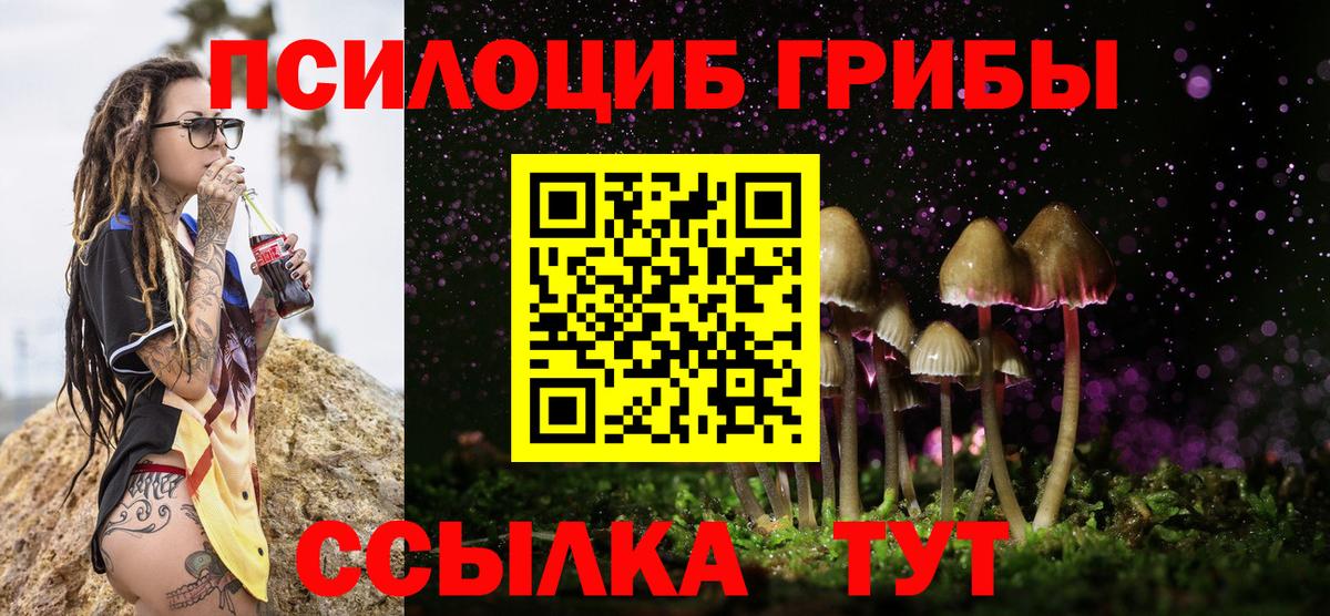 Галлюциногенные грибы мицелий Карачаевск